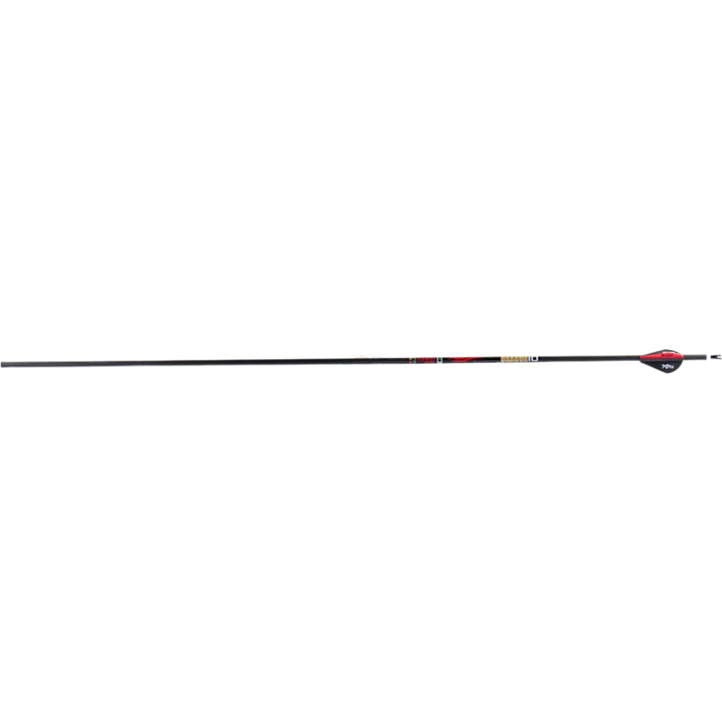Sanlida Dragon 10 Carbon Arrows