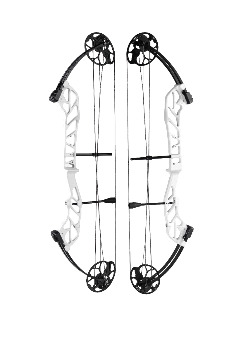 Topoint Starting 36 Compound Bow Package