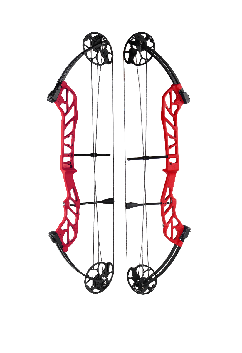 Topoint Starting 36 Compound Bow Package