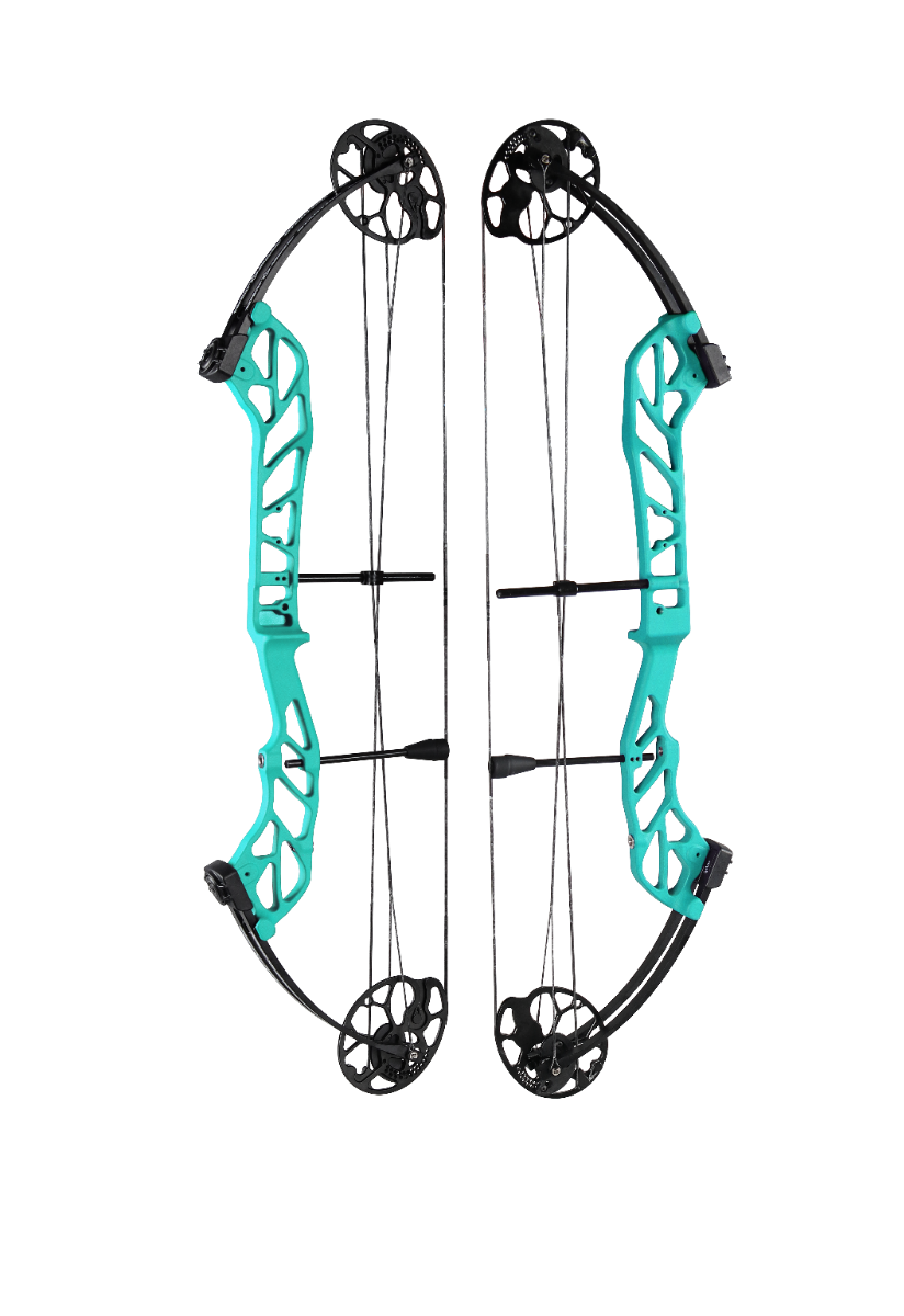 Topoint Starting 36 Compound Bow Package